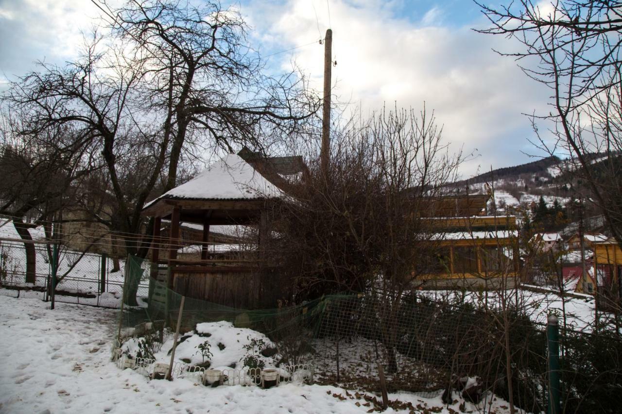 Zabava Apartment Yaremche Luaran gambar